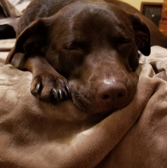 Meet your Posher, John - Picture 1 of 1